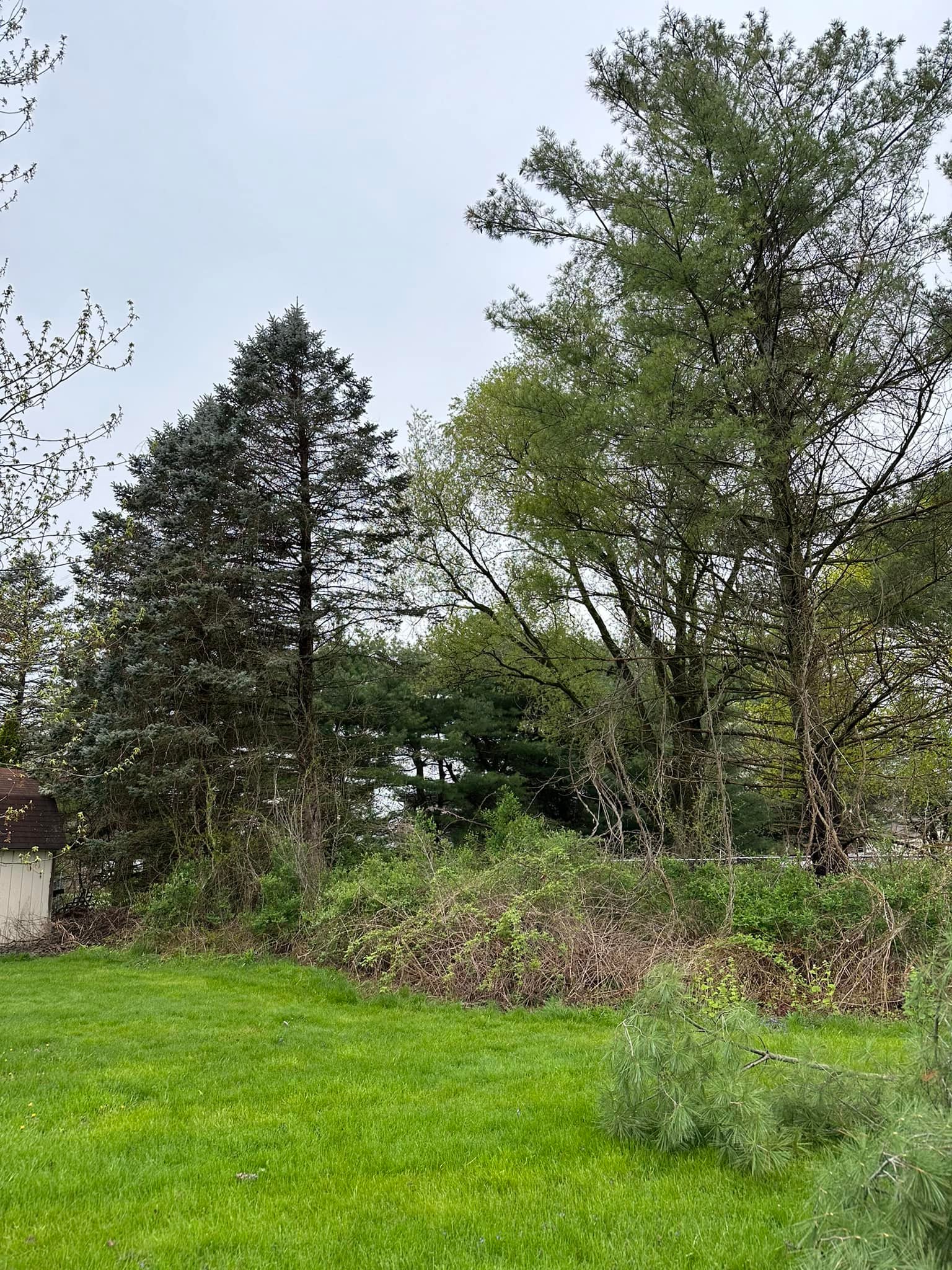 Ballston Tree & Property Services | Ballston Spa NY