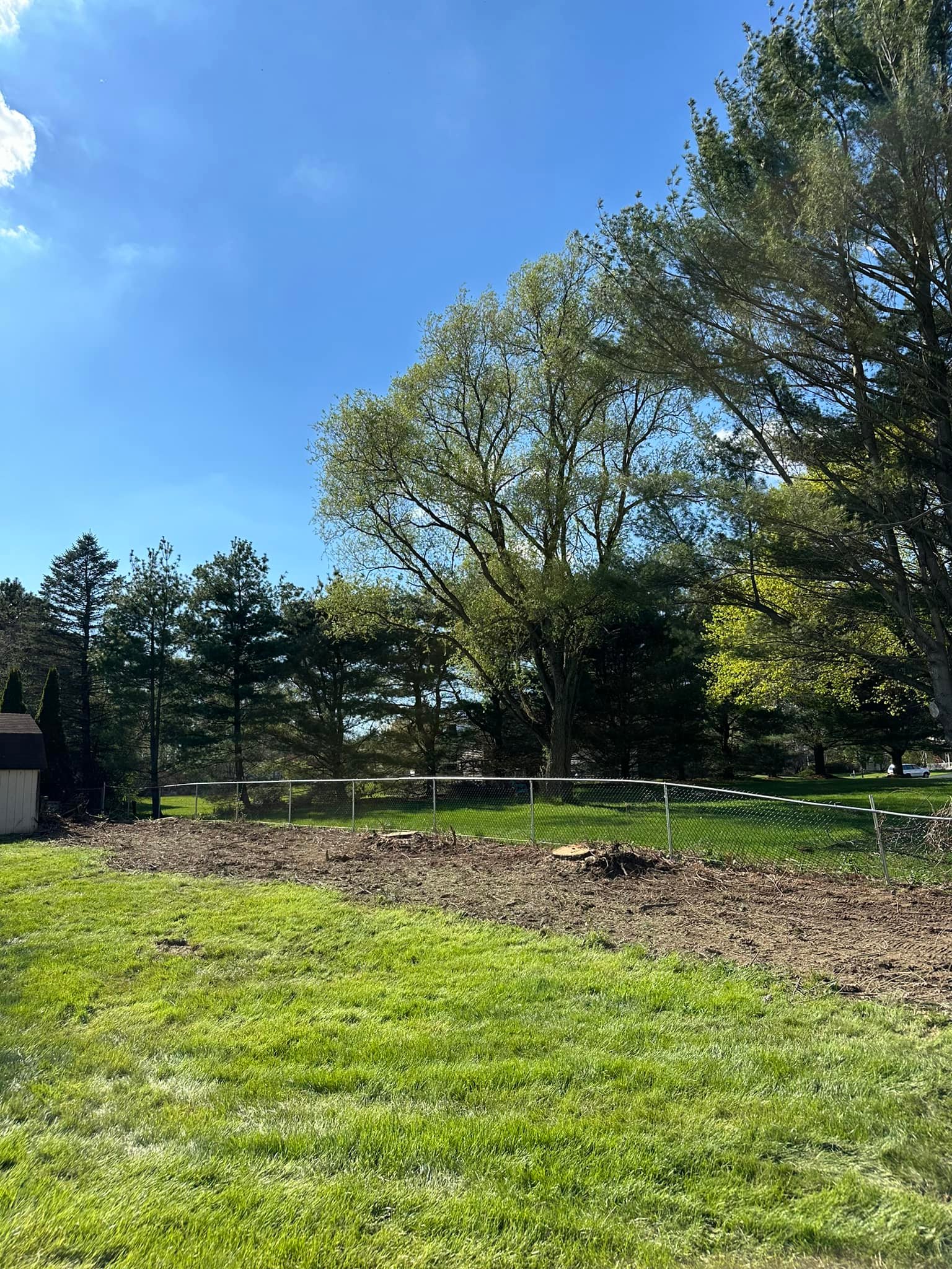Ballston Tree & Property Services | Ballston Spa NY