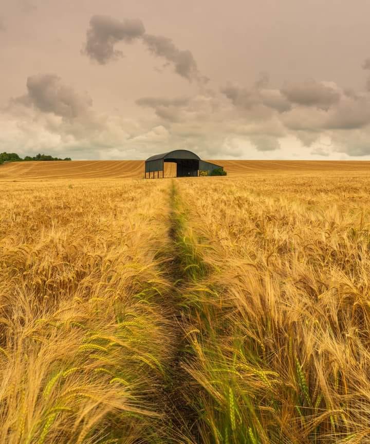 Marshall6 - The famous barn at Sixpenny Handley. | Facebook