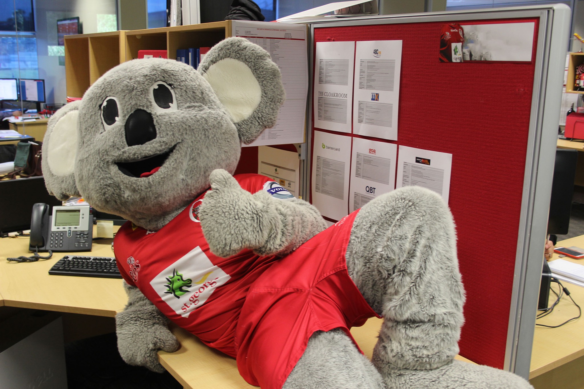 Rusty the Koala | Roma QLD