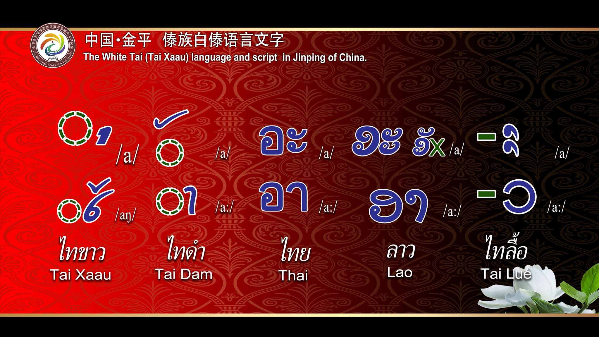 金平白傣(Tai Xaau) | Facebook
