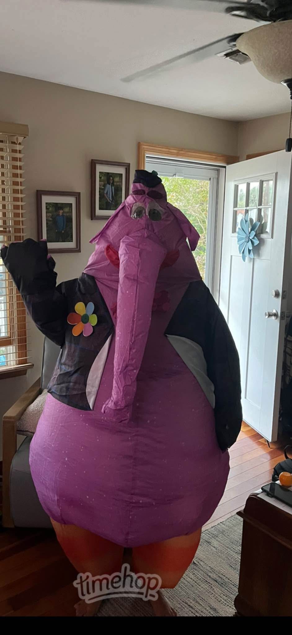 Bing Bong Costume-Inside Out-Like New - Women's Costumes - Barnegat ...