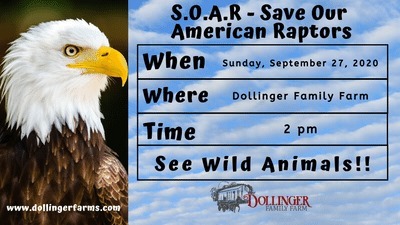 SOAR - Save Our American Raptors