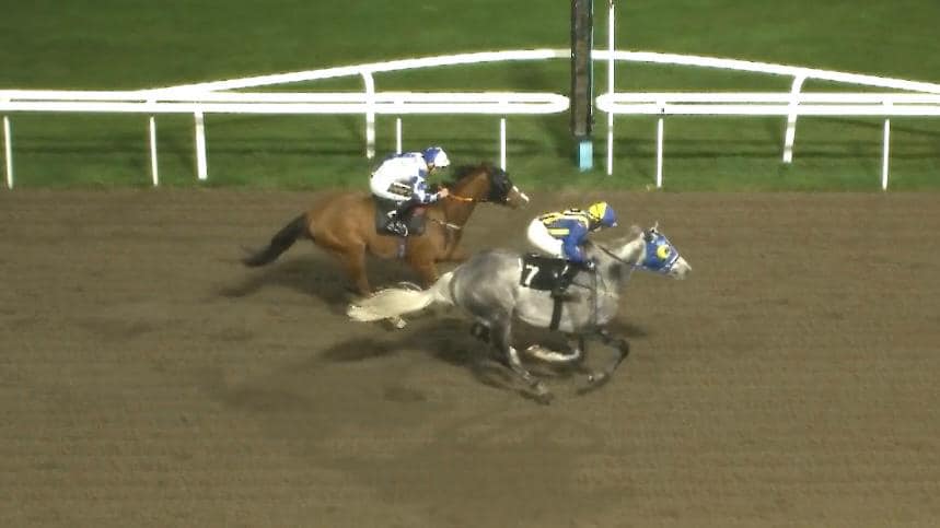 Equestrian R Infinity Limited | Epsom