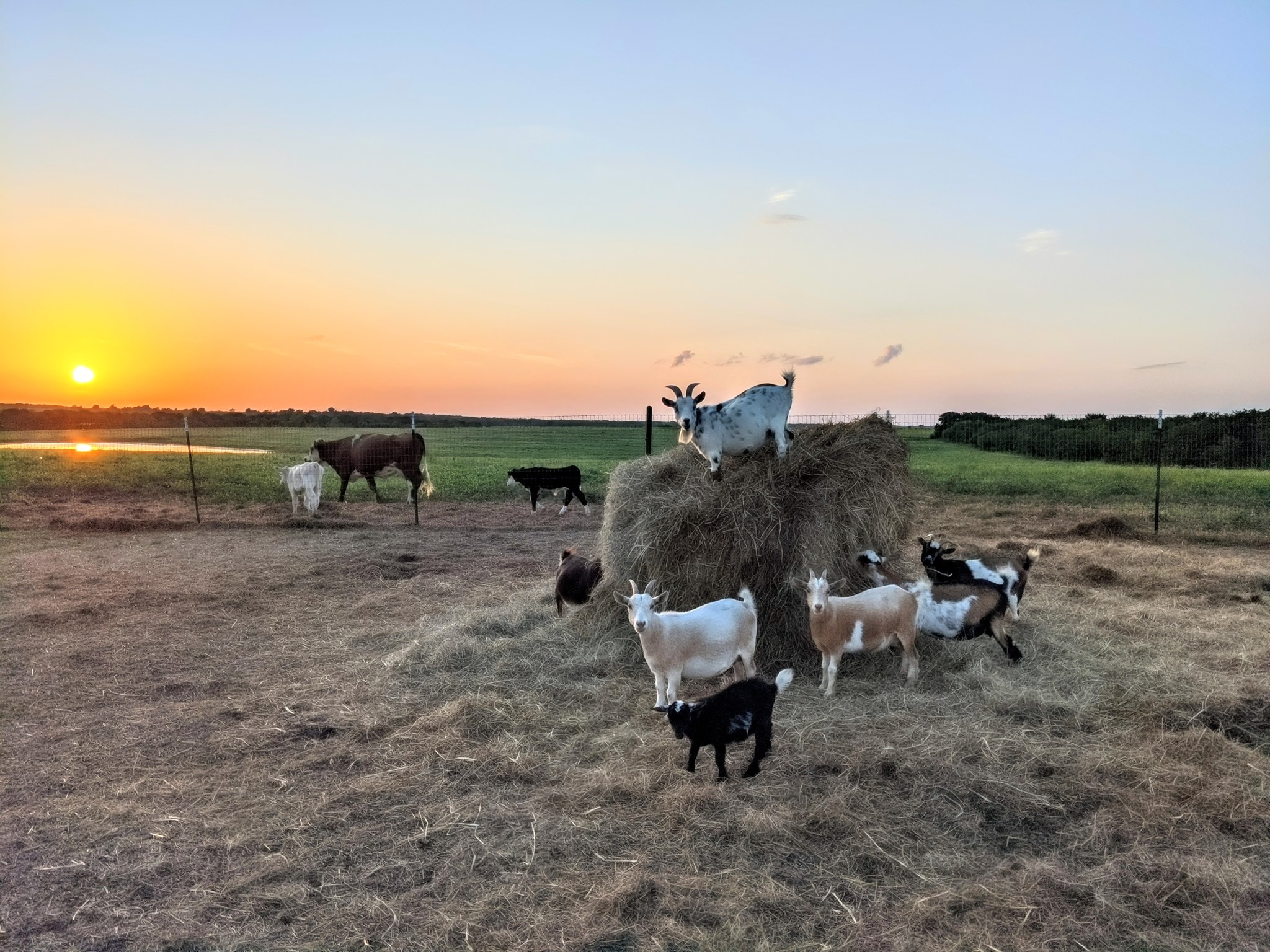 Castaway Ranch