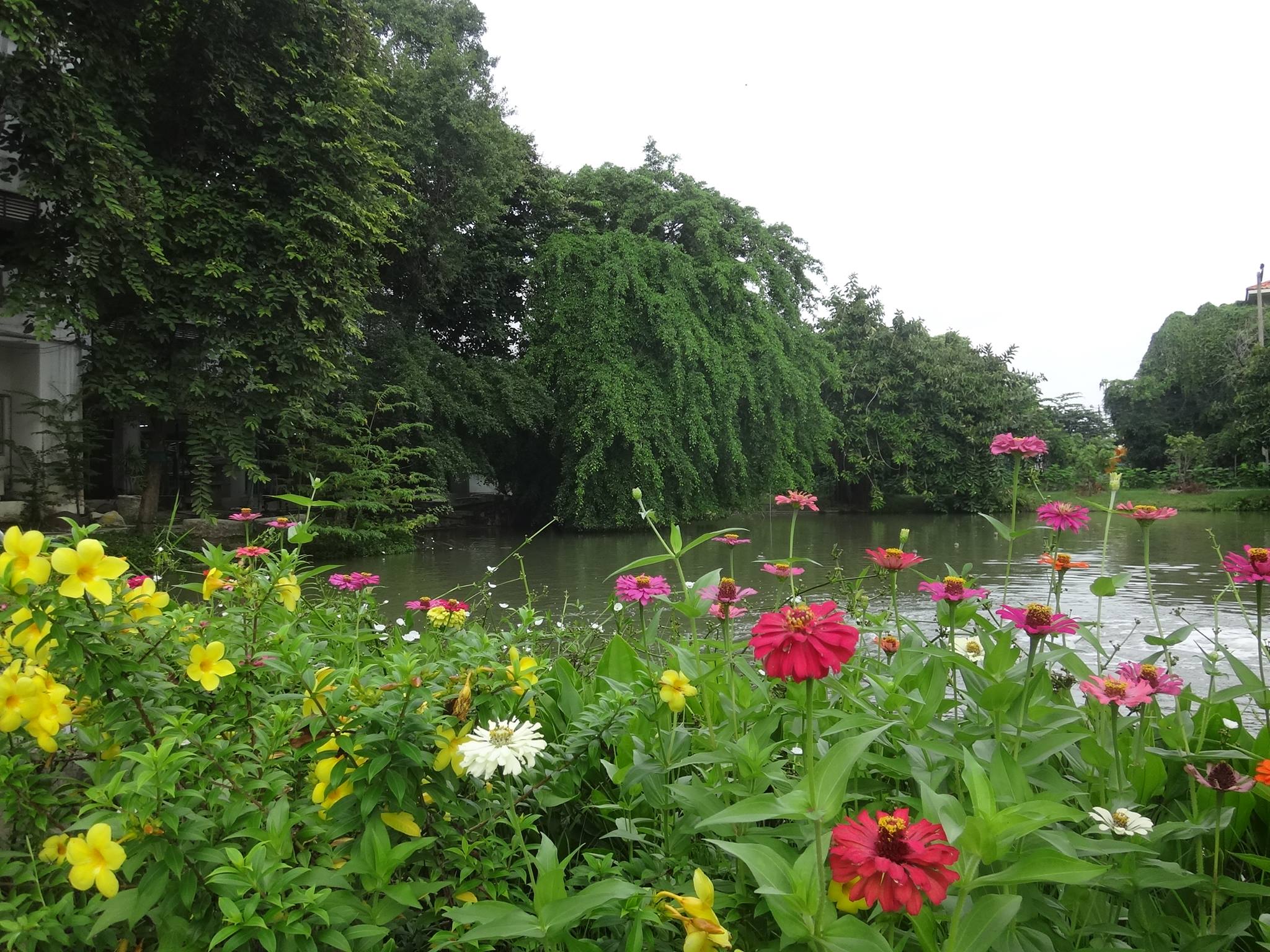 APSW Thailand | Bangkok