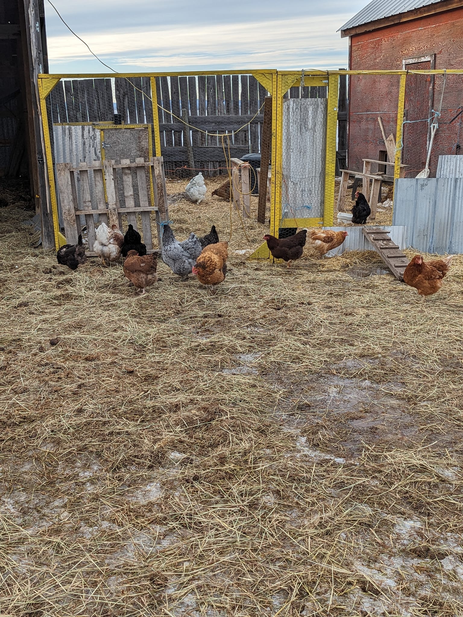 Lilac Acres Hobby Farm | Rimbey AB