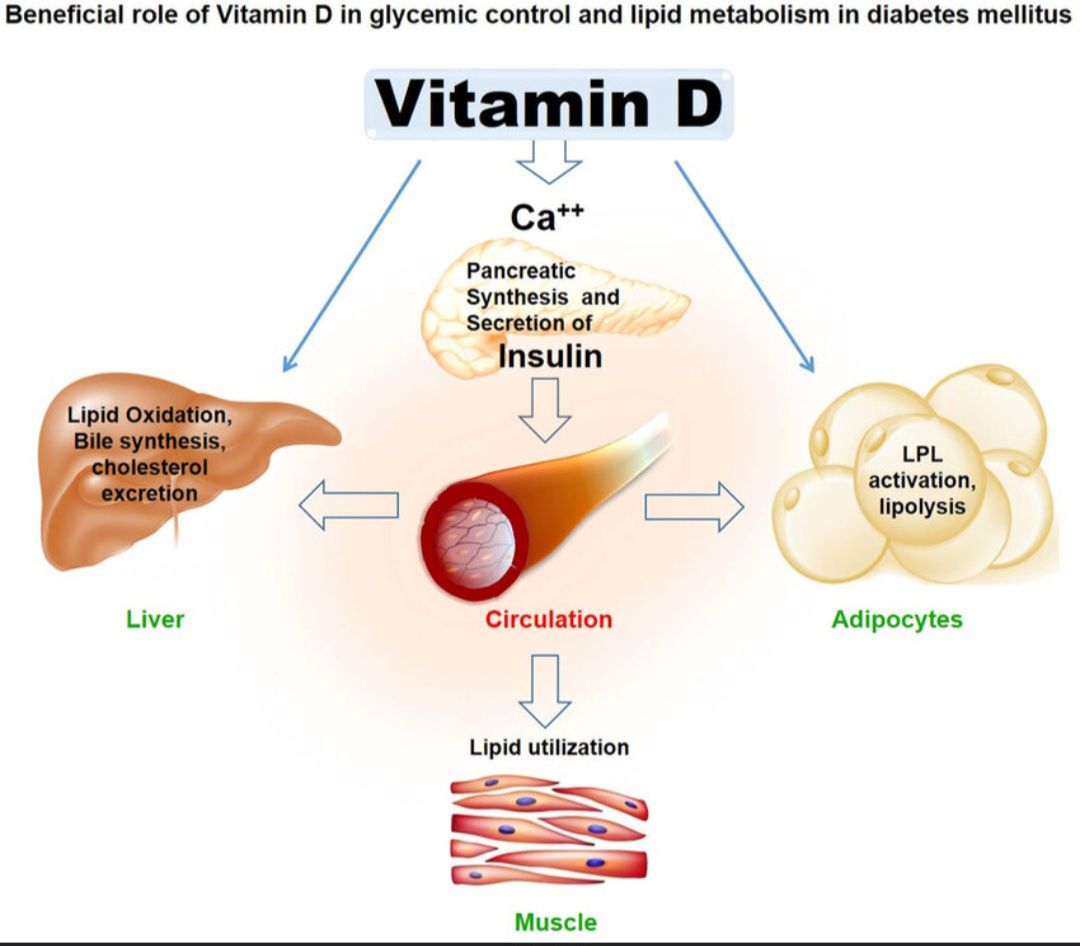 Has GLP-1 medication improved vitamin D levels?