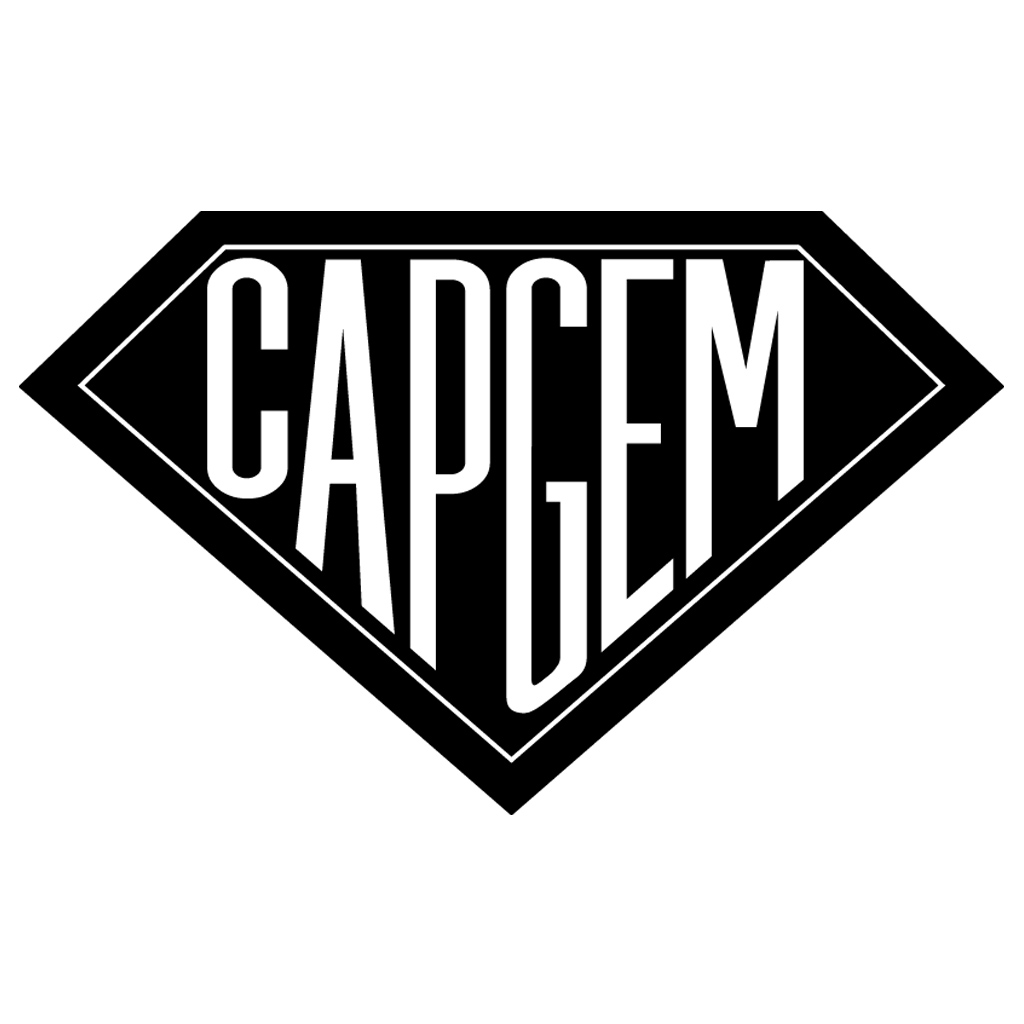 CAPGEM Technical Services, LLC