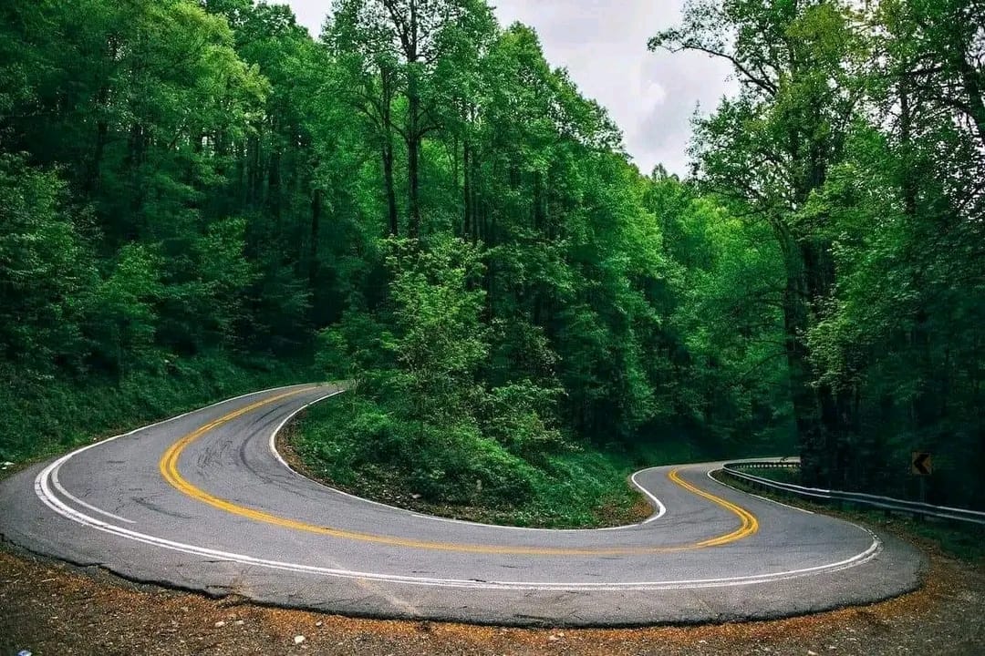 devils lip road in n.c Steep switchback on Devil's Whip Marion, North Carolina focus:Neuroscience