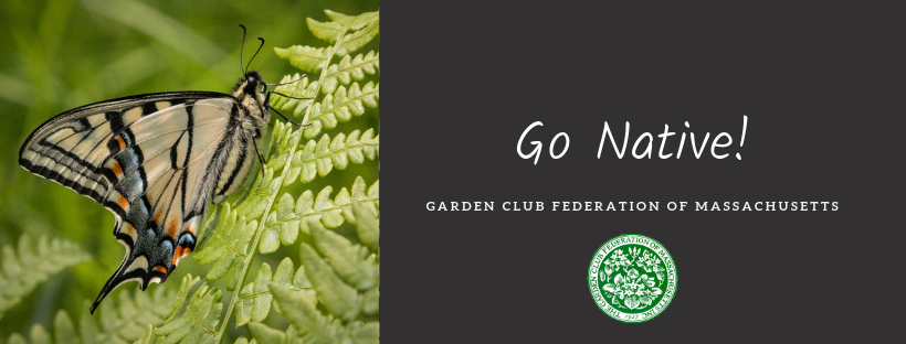 The Garden Club Federation of Massachusetts, Inc. | Waltham MA