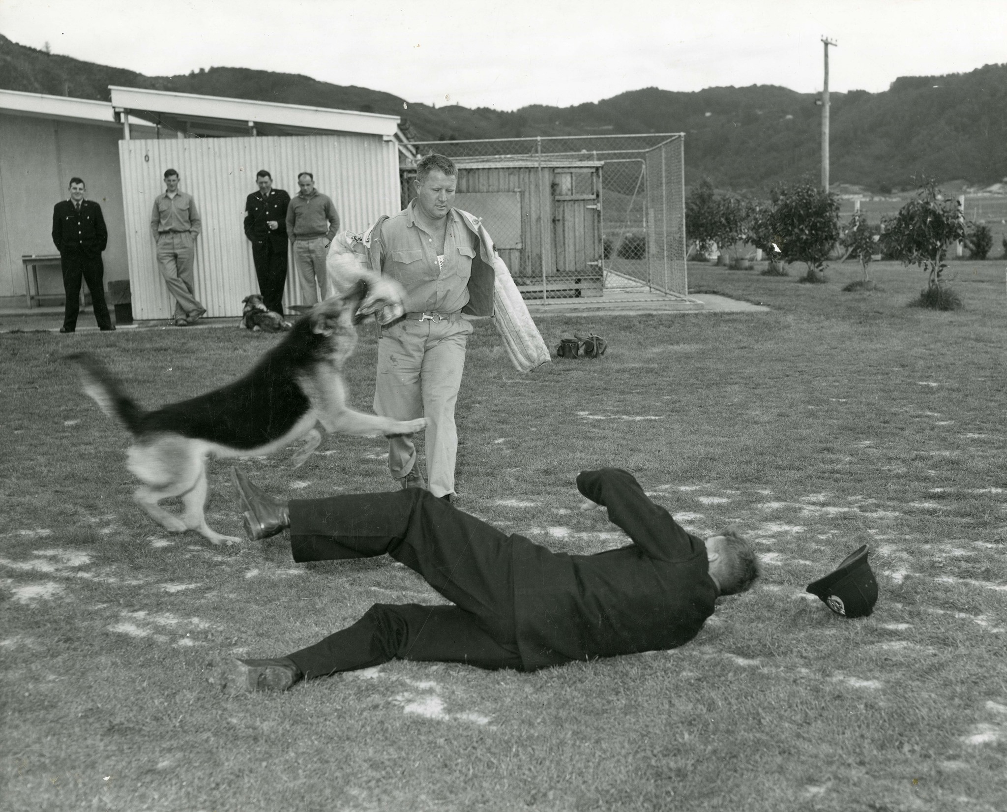 Legendary Dog Handler Alan Symes to the rescue!