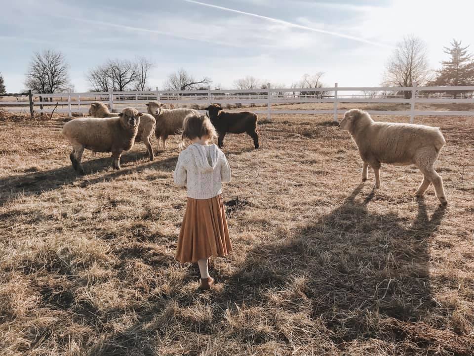 November Farms | East Greenville PA