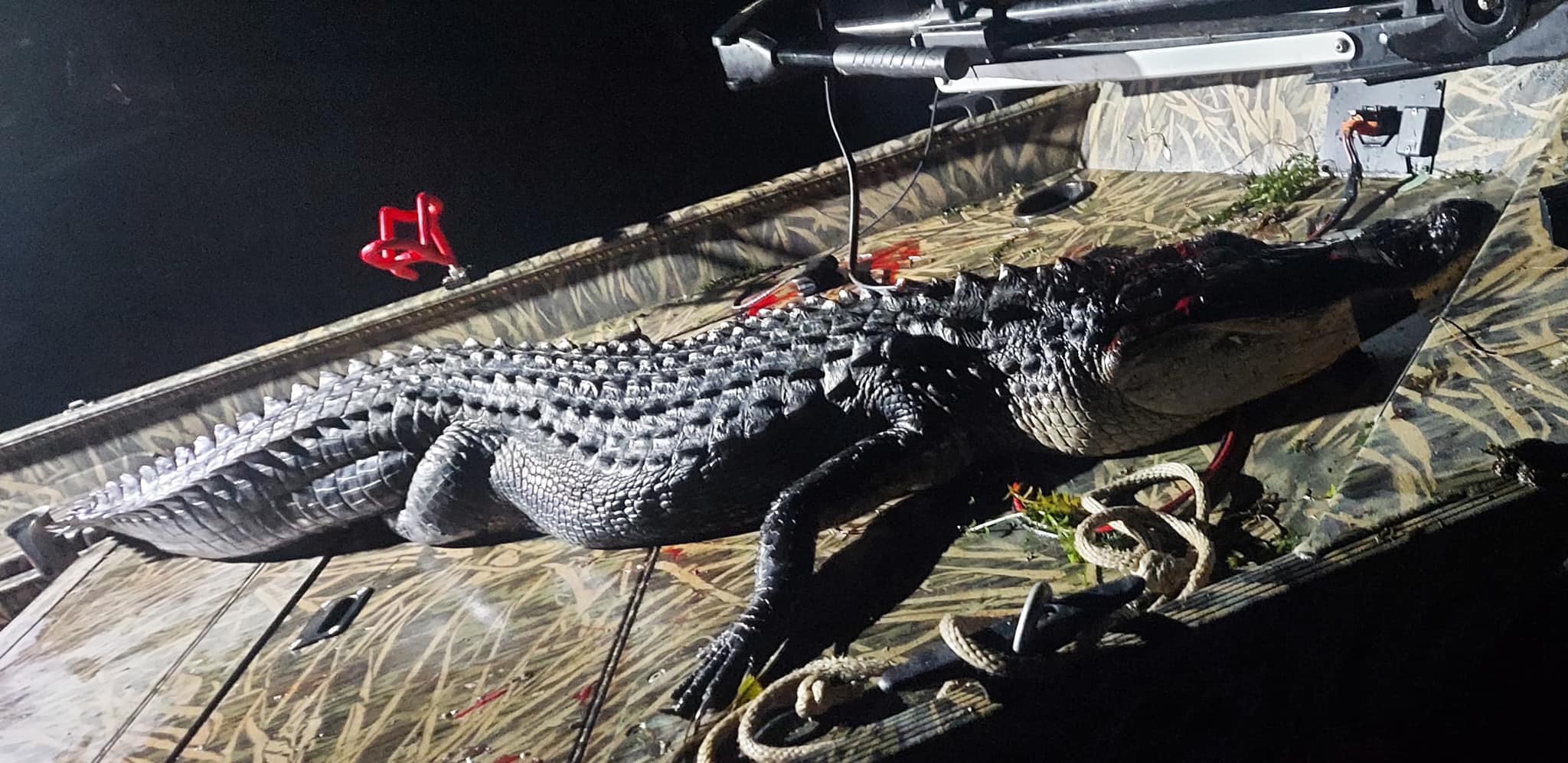 It’s Gator season and the pics keep... - Meat Hunter Rods