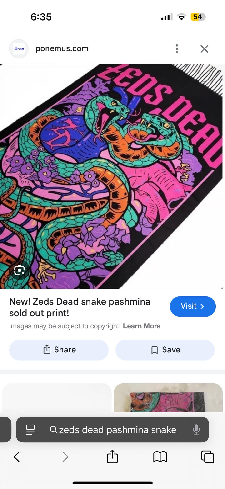 Lost Zeds Dead snake pashmina at Electric Forest