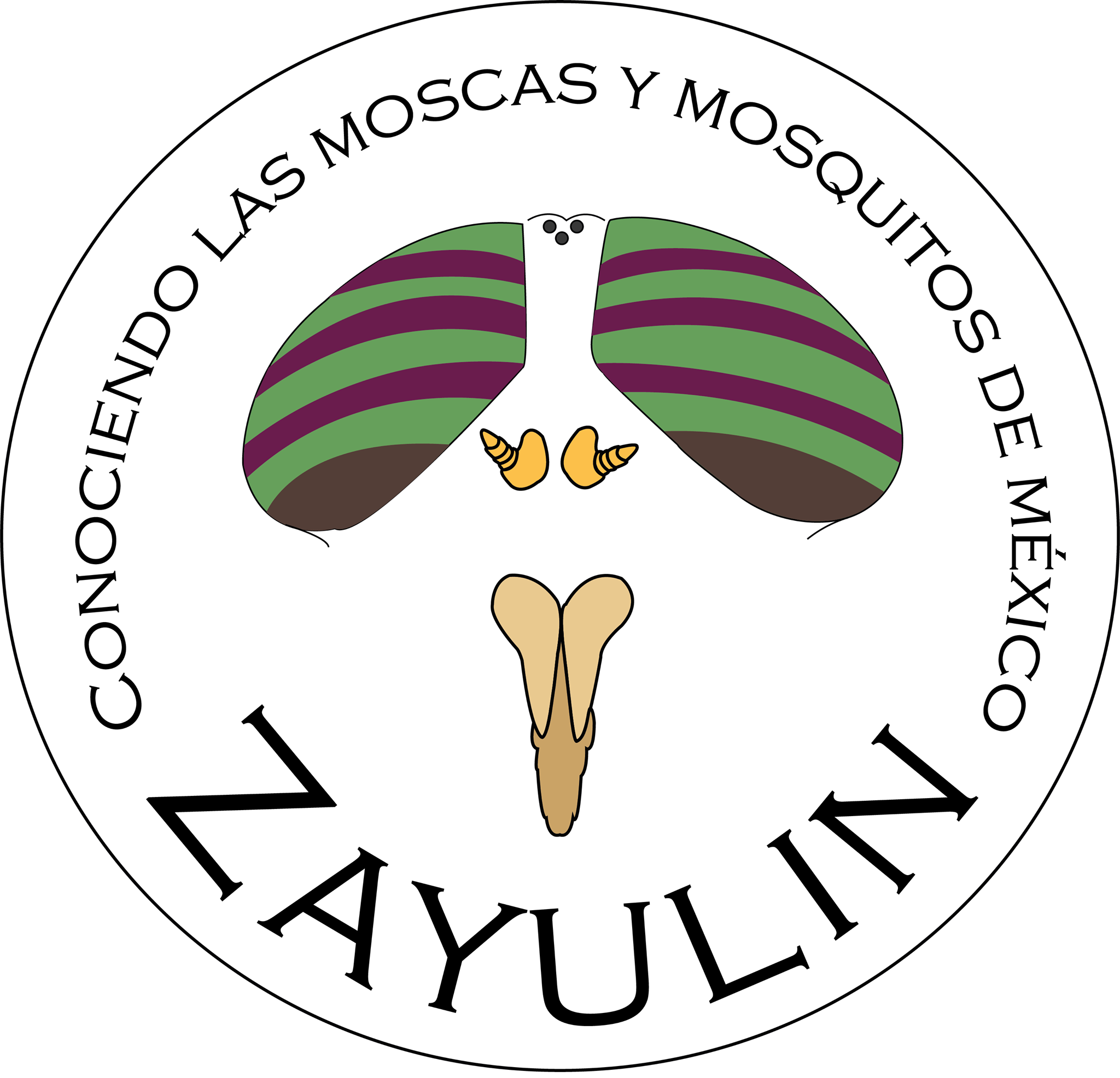 Zayulin - Moscas de México - ****ENGLISH BELOW***** Los chaquistes ...