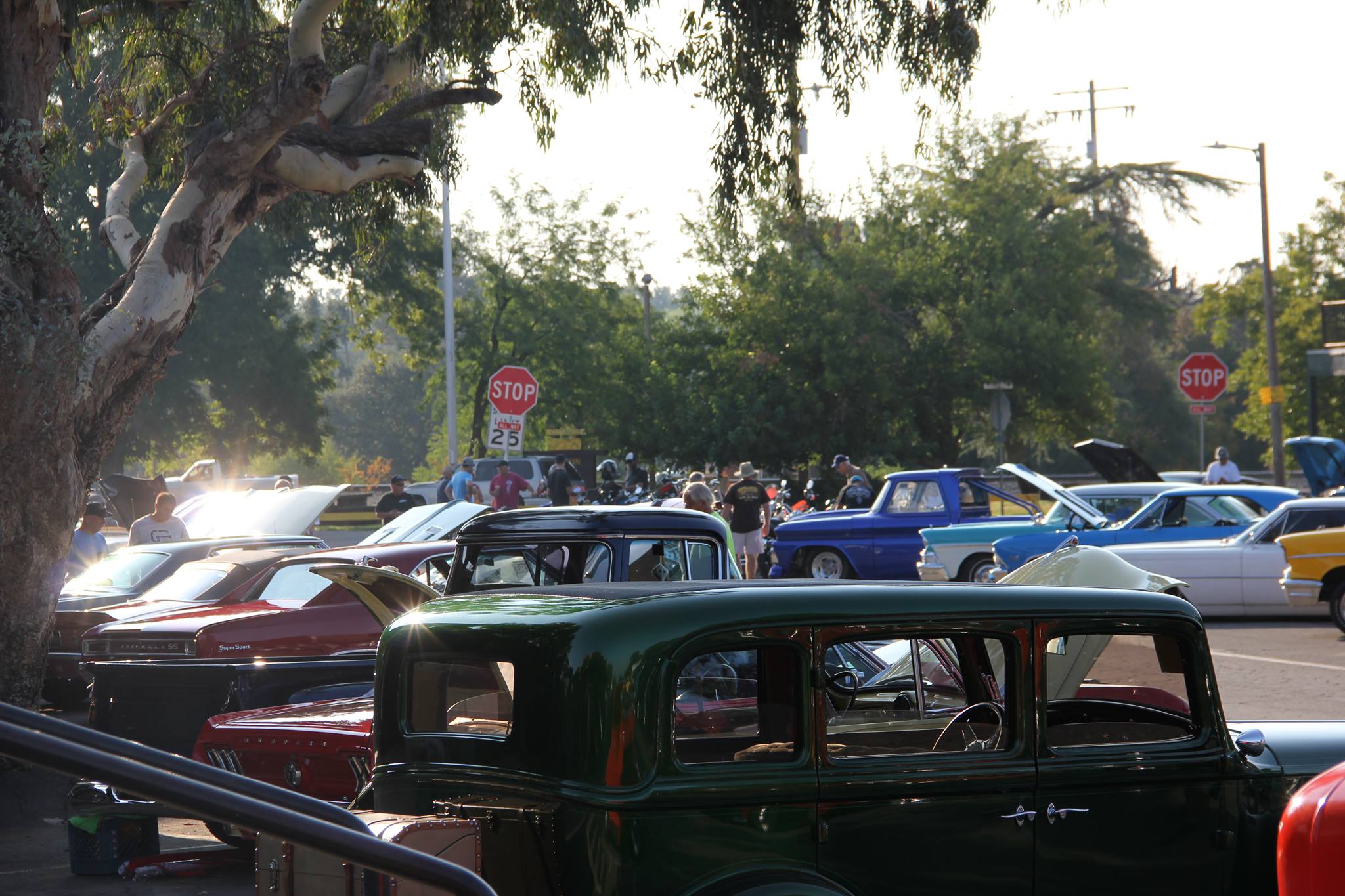 Cottonwood Hot Rods & Hogs 2024