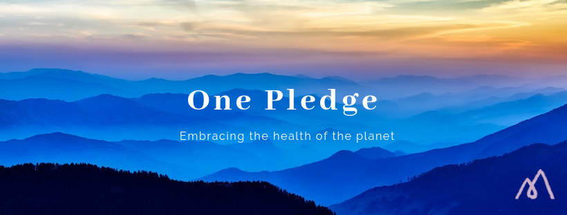 One Pledge