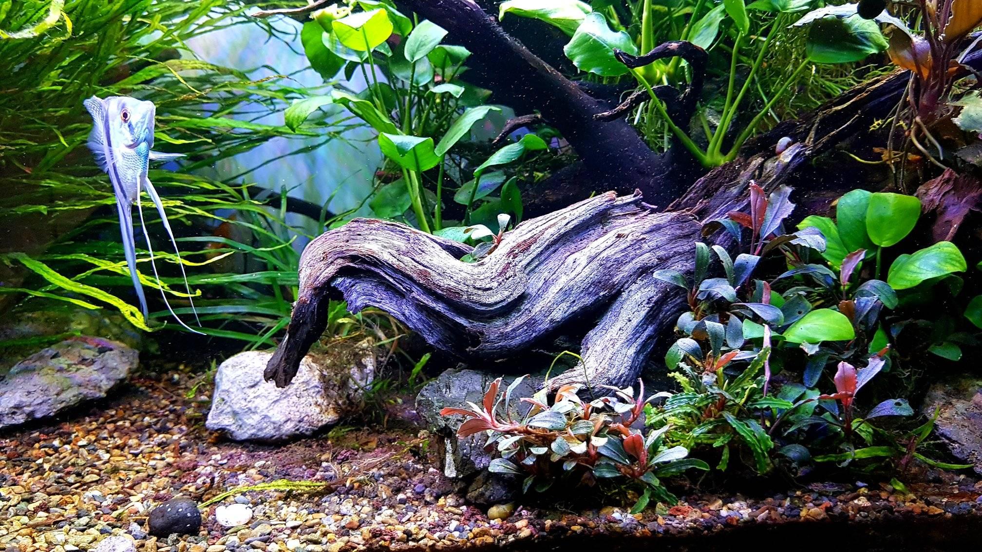 Biotope Tour - Starring at you One of destination to visit that has ...