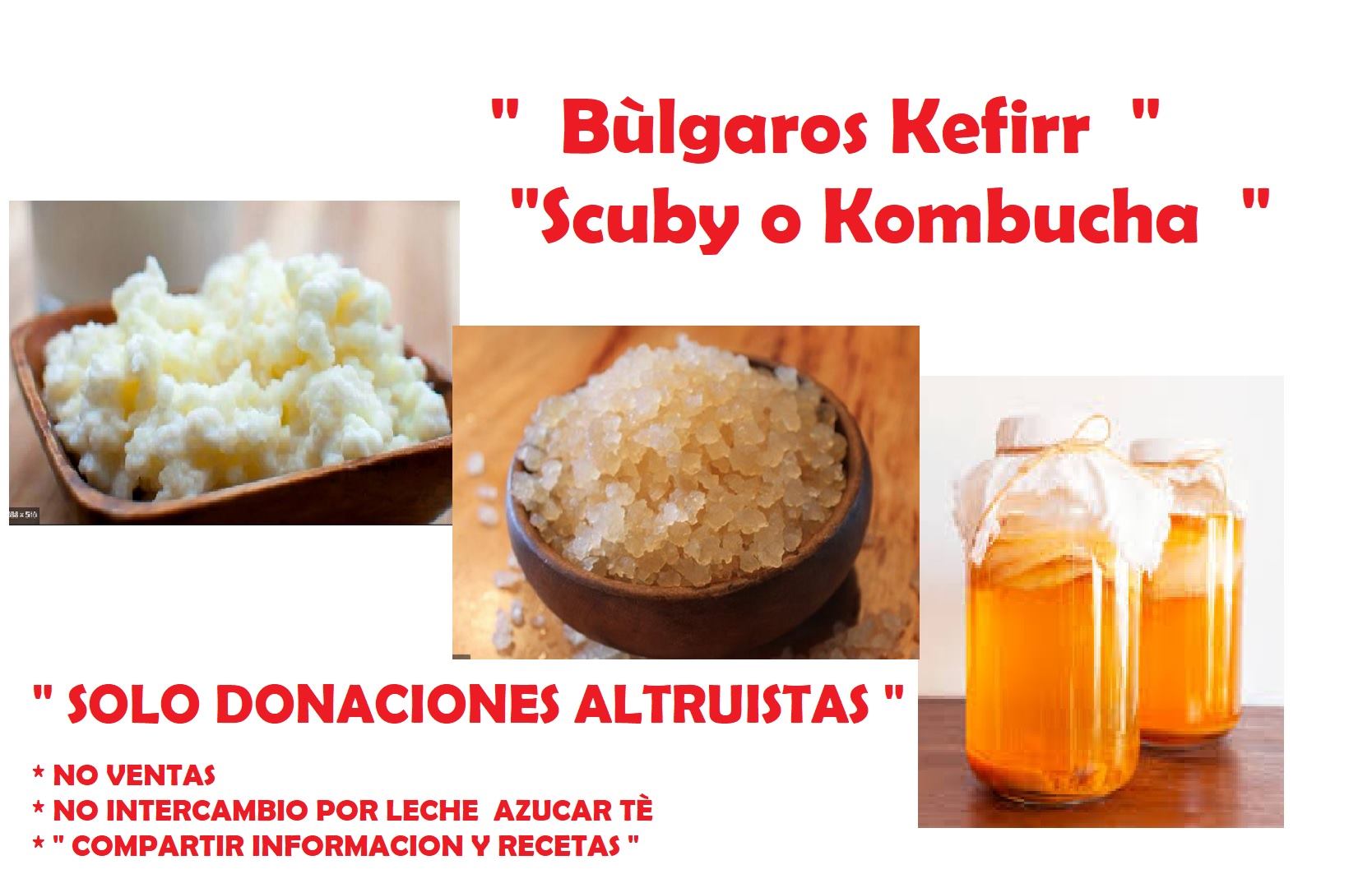 La... - Lactobacilos Kefir para preparar Yogurt 100% Naturales