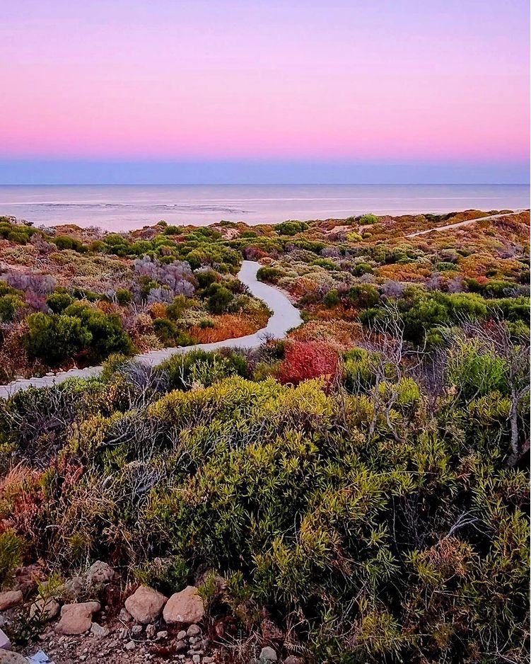 There's nothing quite like wandering... - Tourism Rockingham | Facebook