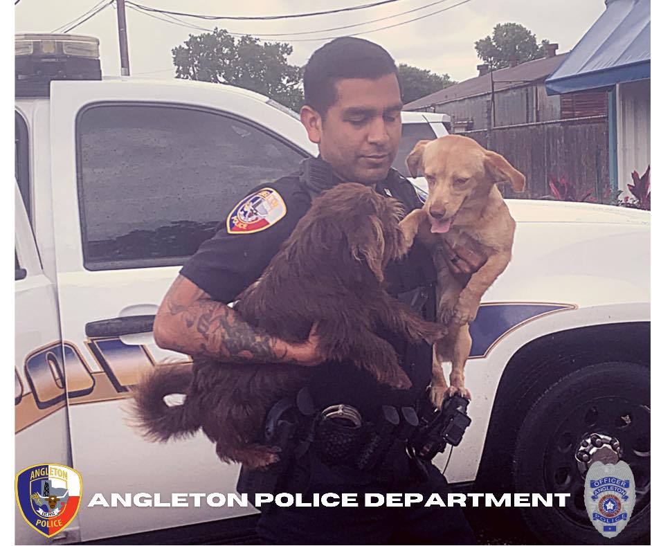 Officer Soriano rescued these... - Angleton Police Department | Facebook