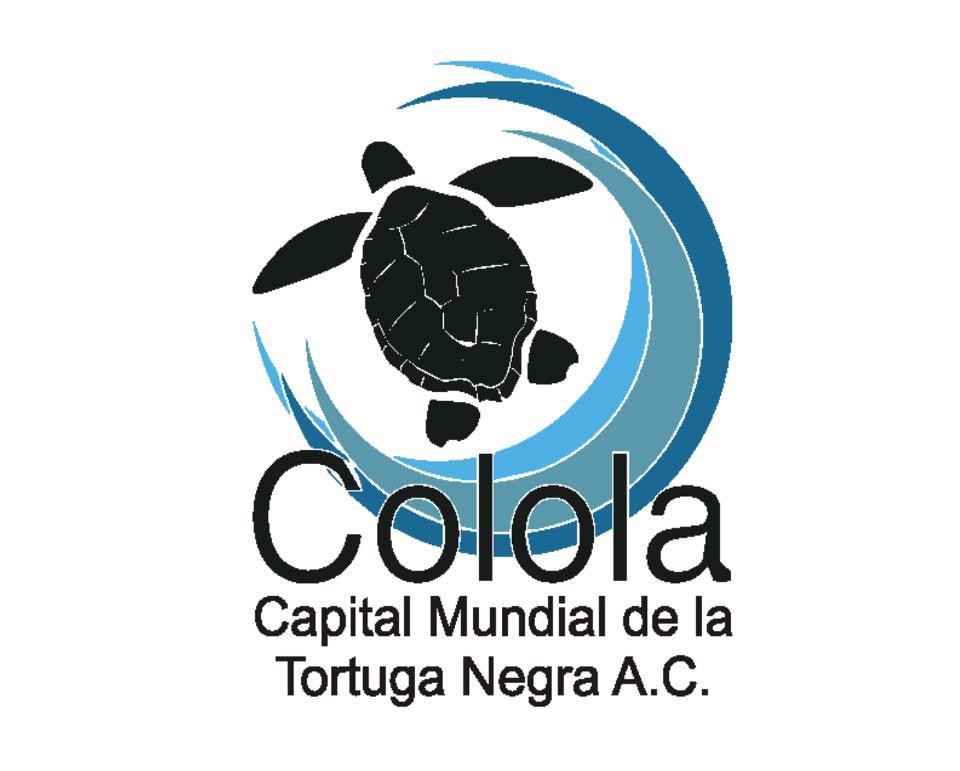 Colola Capital... - Colola Capital Mundial De Tortuga Negra