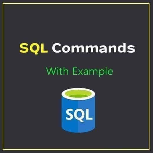 Computer Science and Programming Language Academy | SQL Commands With ...
