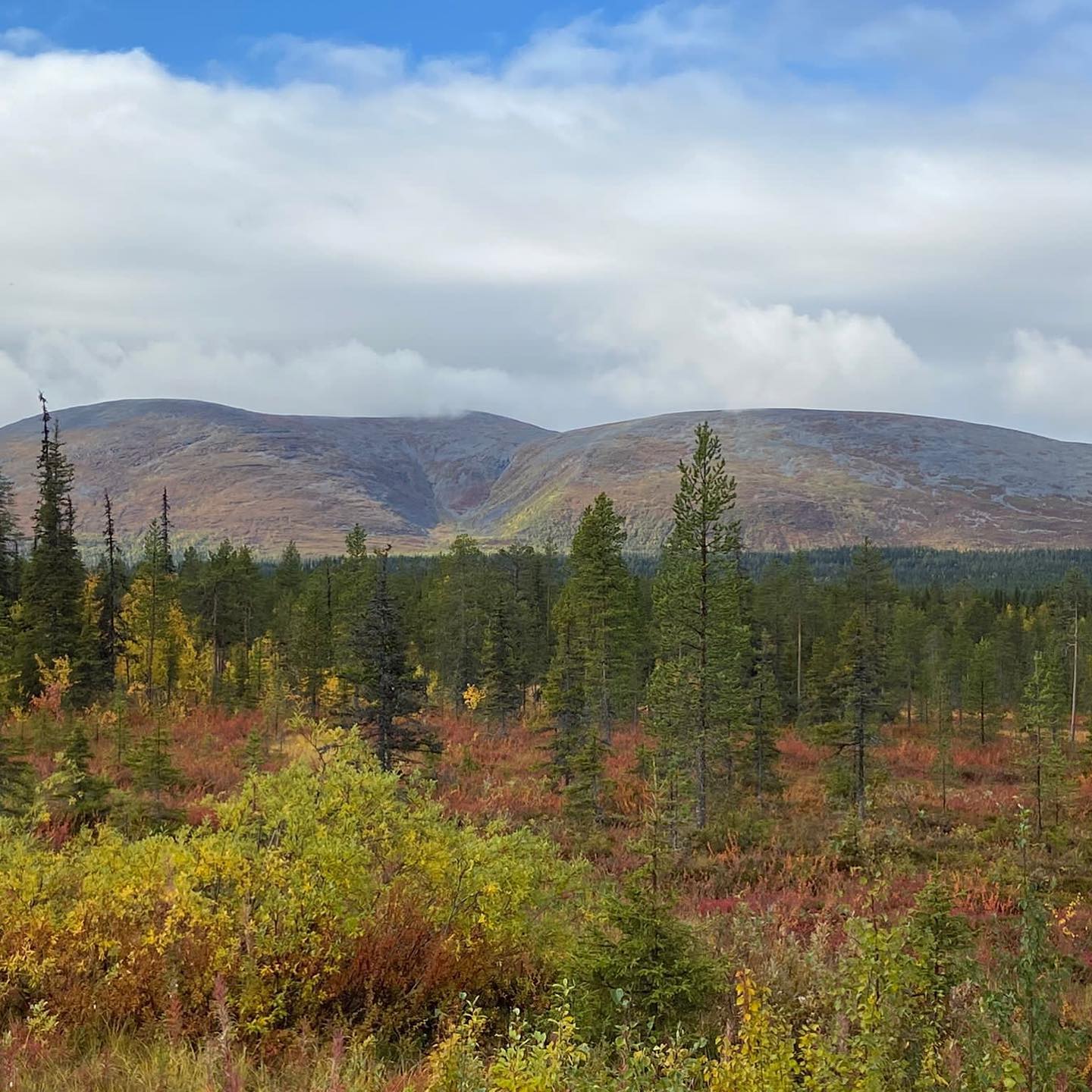 Hetan Kota - Uljaat Pallaksen rinteet 🍁🍂 Näihin ei... | Facebook