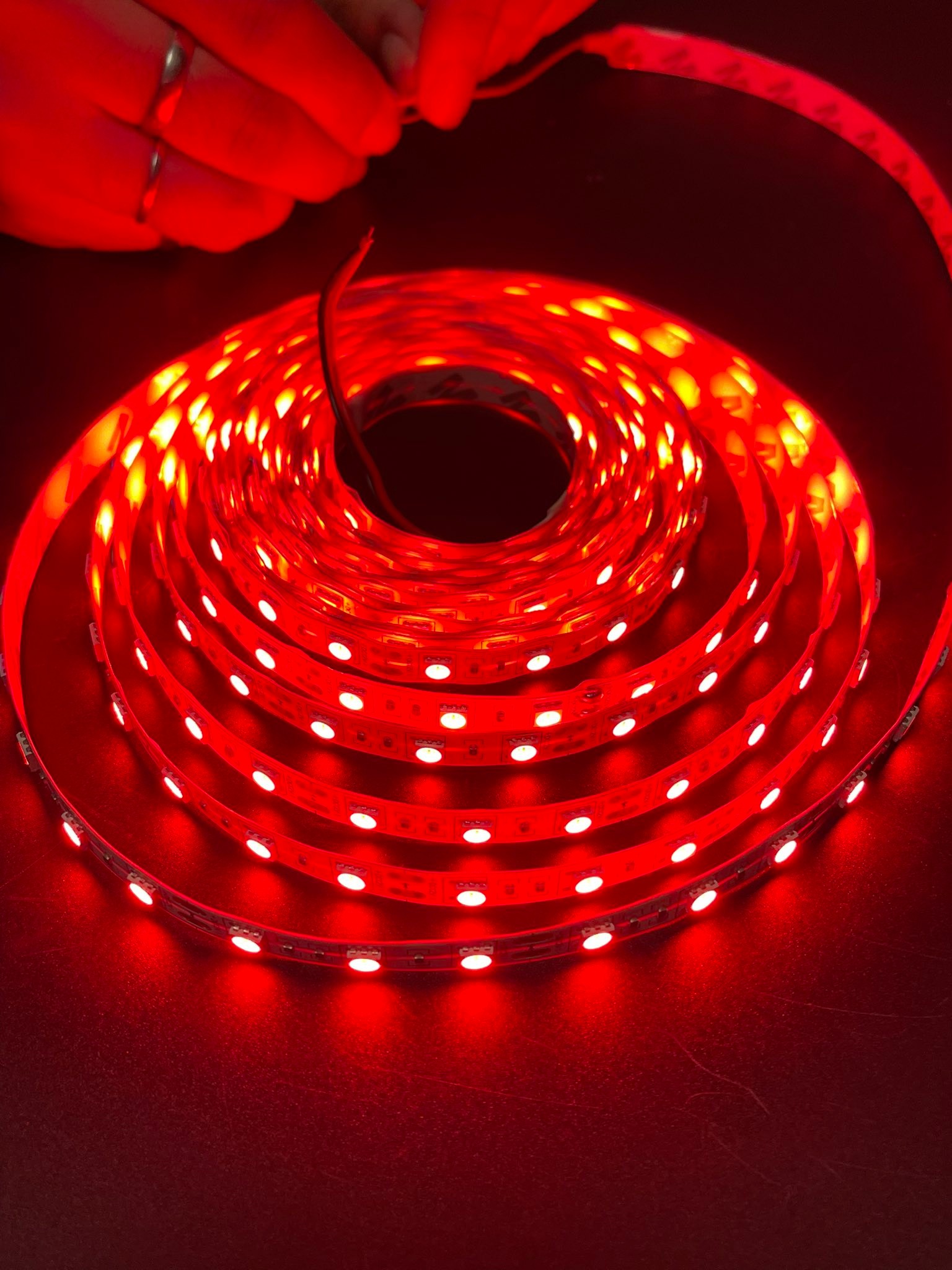 Led Ex Pert