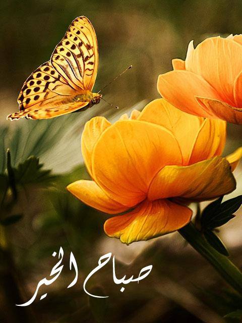 الصباح بستان جميل تفوح من Jordan News أخبار الأردن Facebook