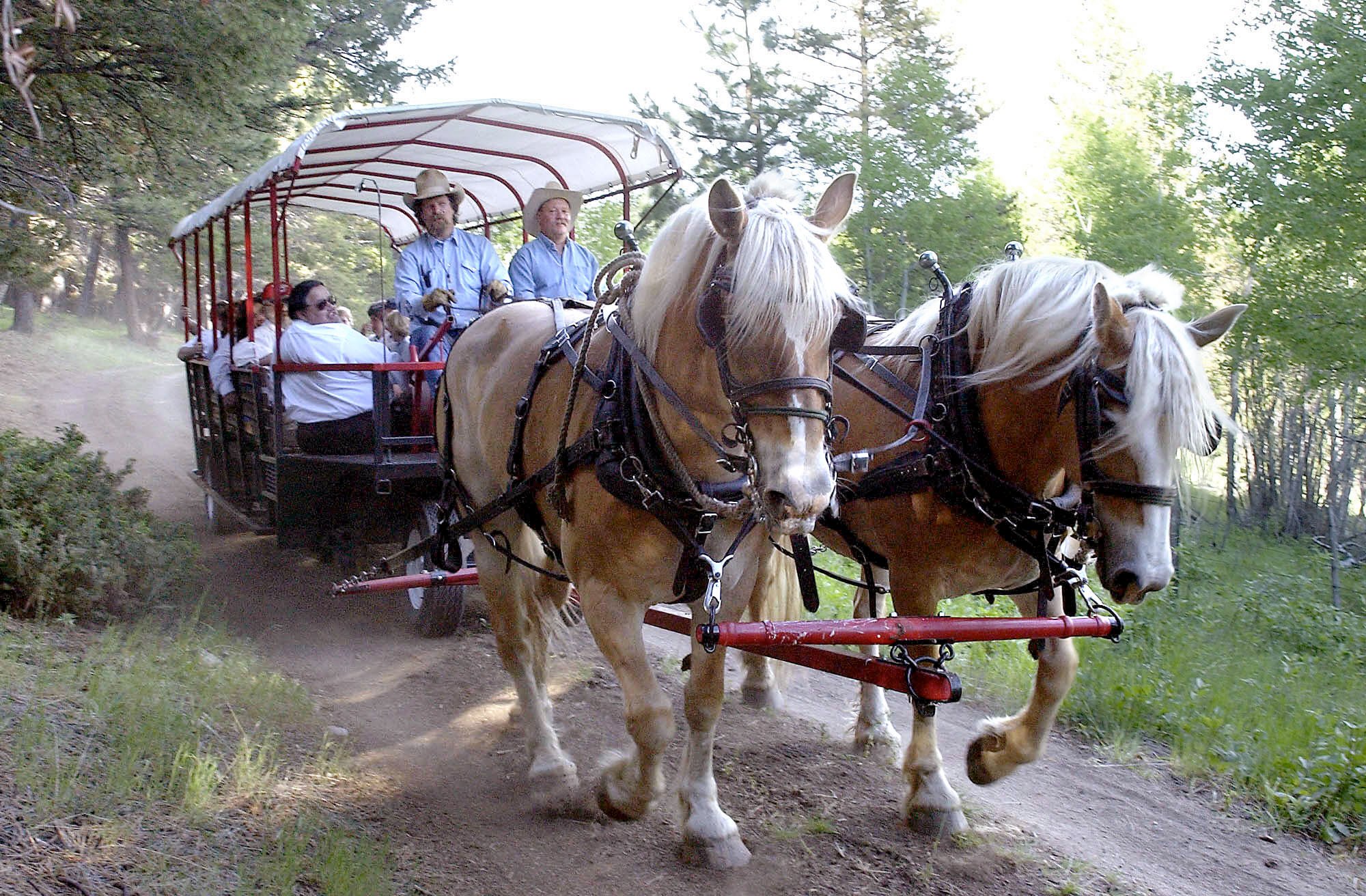 Last Chance Ranch Wagon Ride Dinners | Helena MT