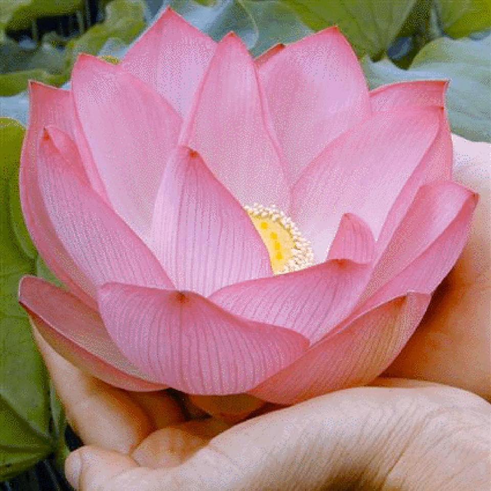 Experience Deep Healing — Feel Peaceful, Content, and Energised Deep ...