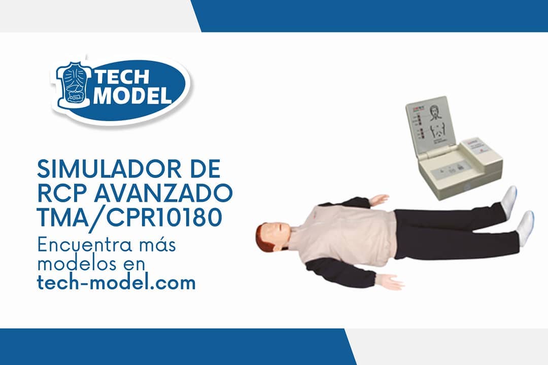 Tech-Model - Simulador de RCP avanzado #TechModel Más...