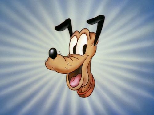 ディズニー - ディズニートリビア：ミッキーの愛犬プルートは