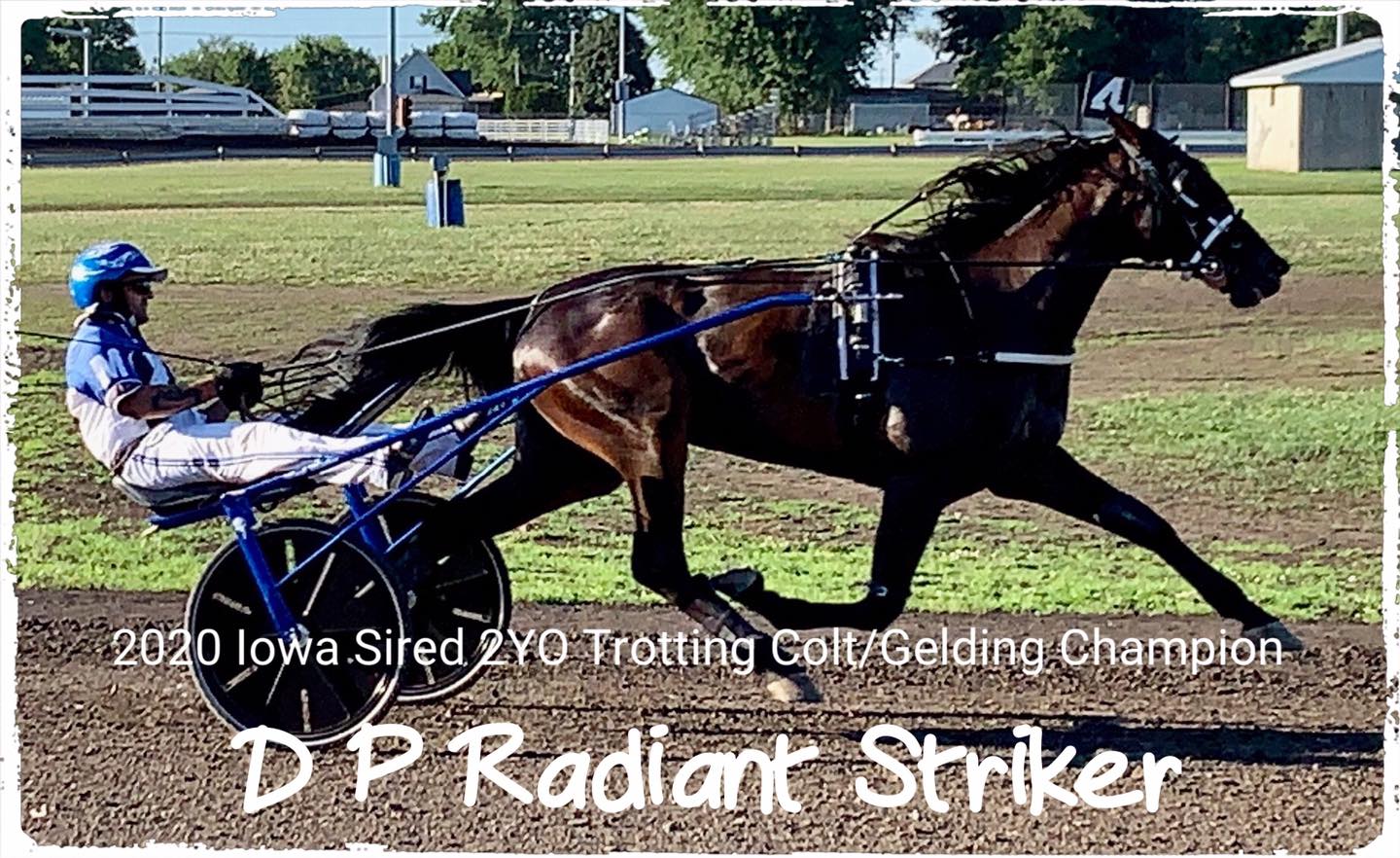 We also have... - Iowa Harness Horseman's Association