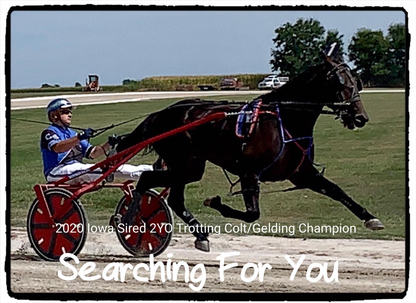 Iowa Harness... - Iowa Harness Horseman's Association
