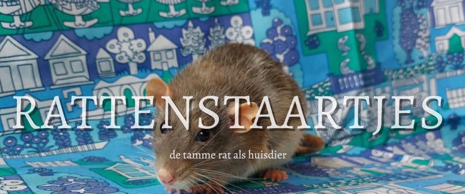 RattenStaartjes - Vorige week schreef ik over de oorzaken van het kaal ...