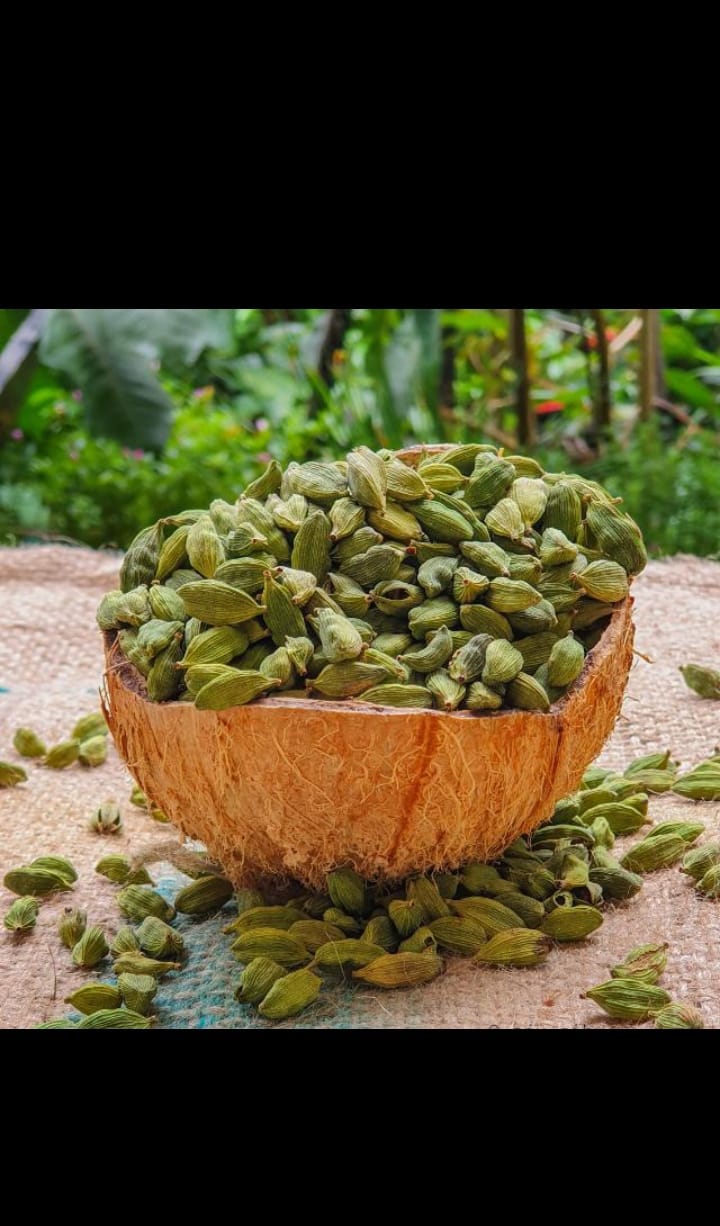 Monu Raj Raj