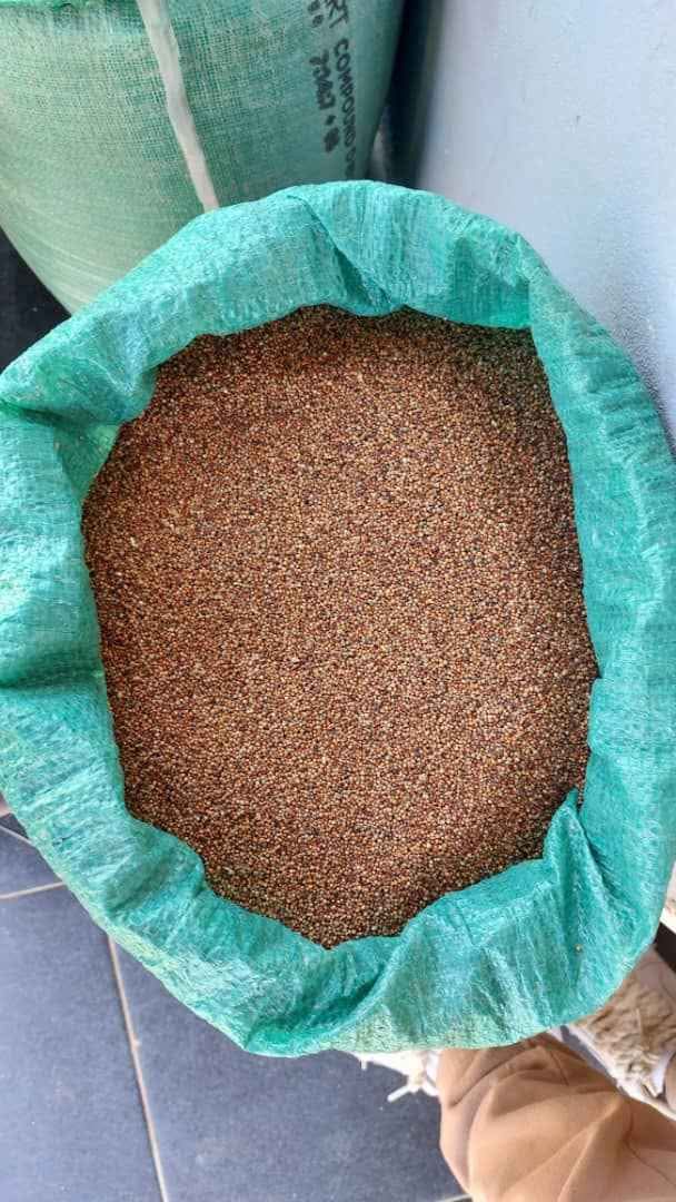 Brown rice mupunga wechibhoyi - Area Rugs - Harare, Zimbabwe | Facebook ...