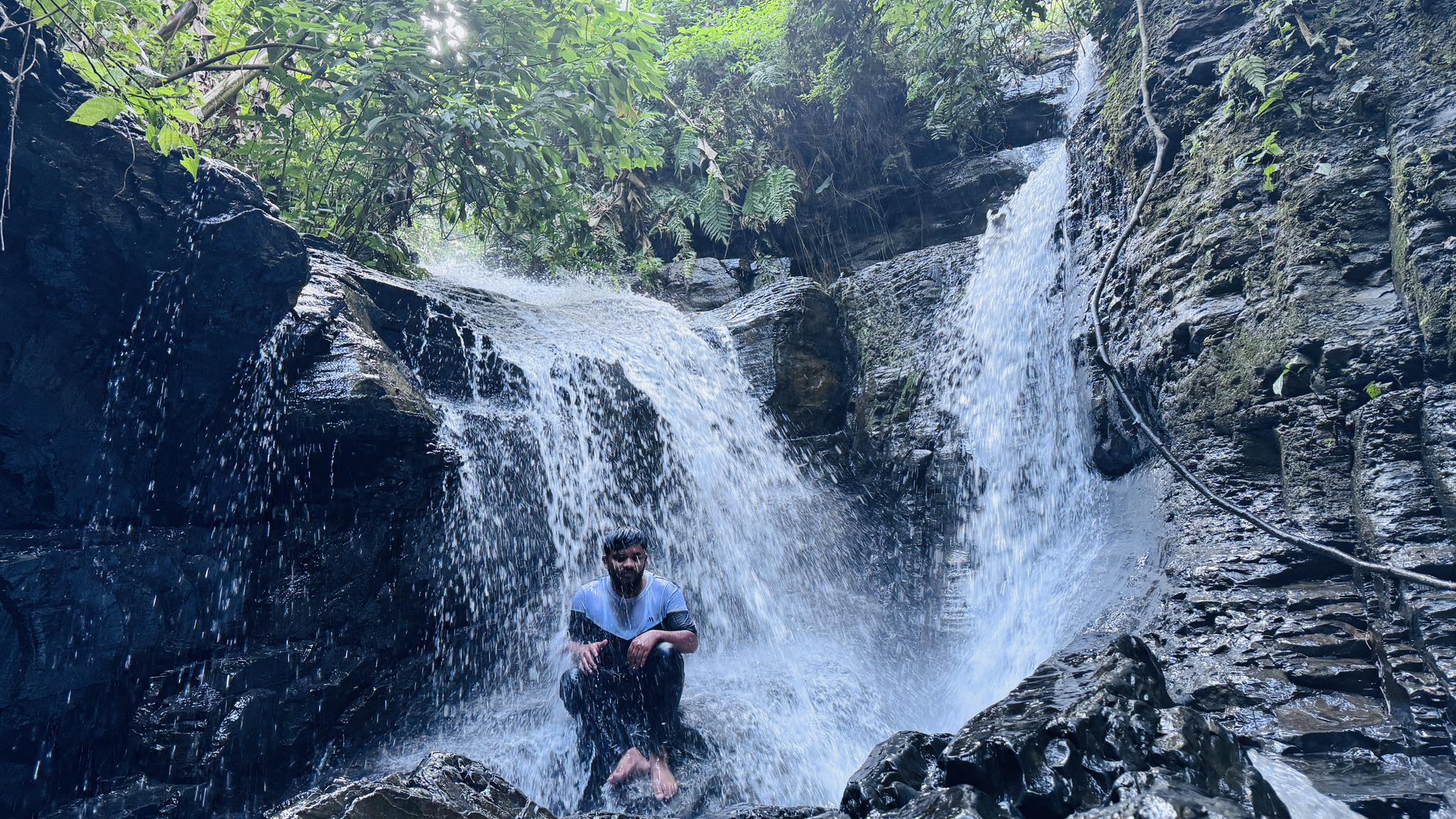 Saidur Rohman