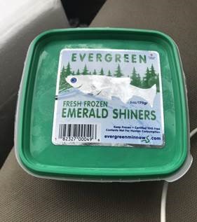 Recently, a quagga mussel was found in a tub of Evergreen brand ...
