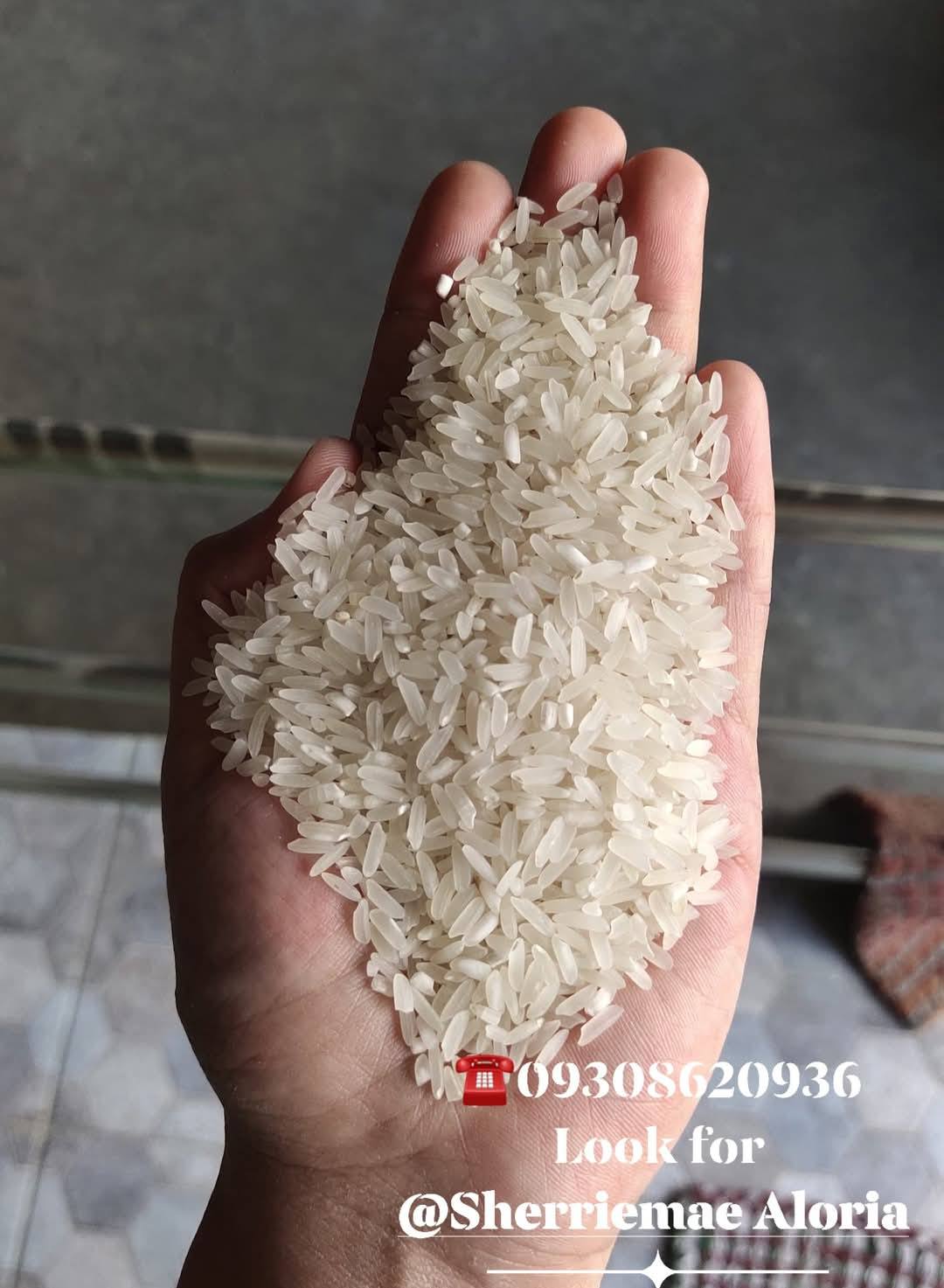 Conohan/Gilingan/ Rice milling business Philippines | Facebook