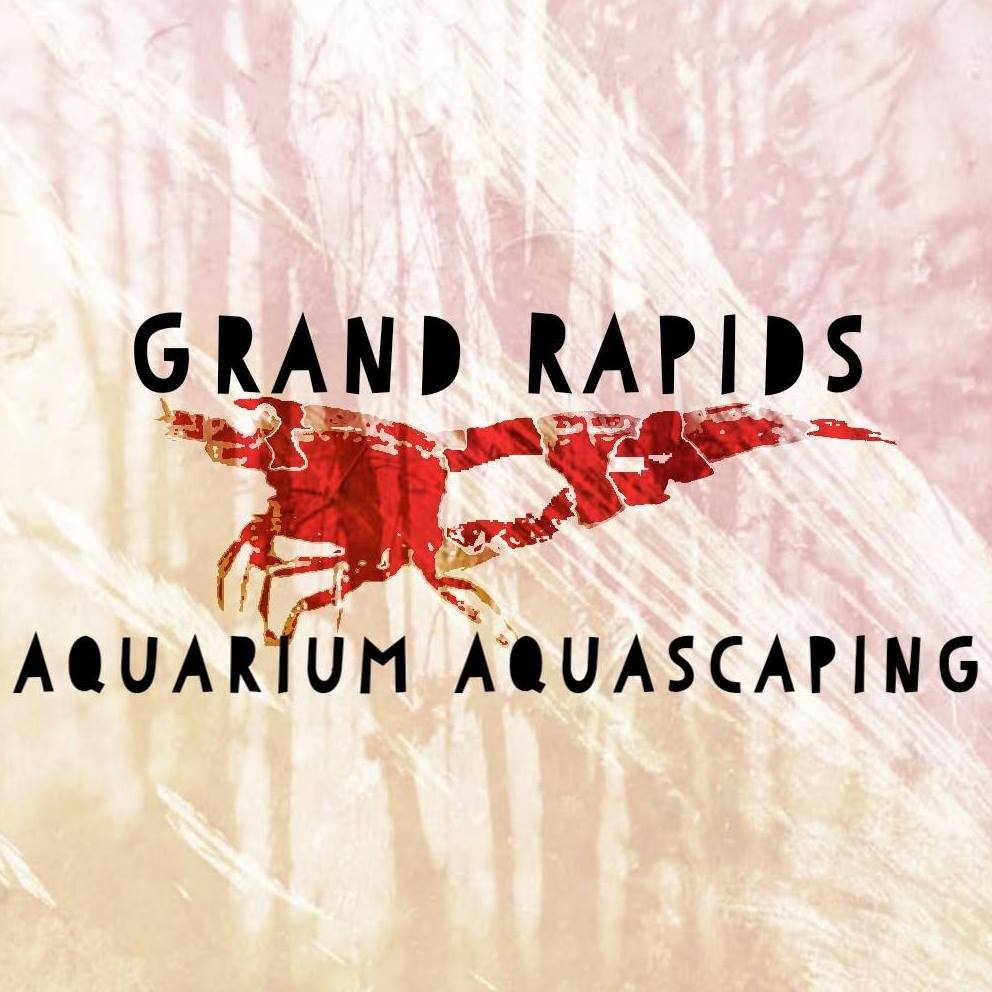 Grand Rapids Aquarium Aquascaping G.R. Aquatics Grand Rapids MI