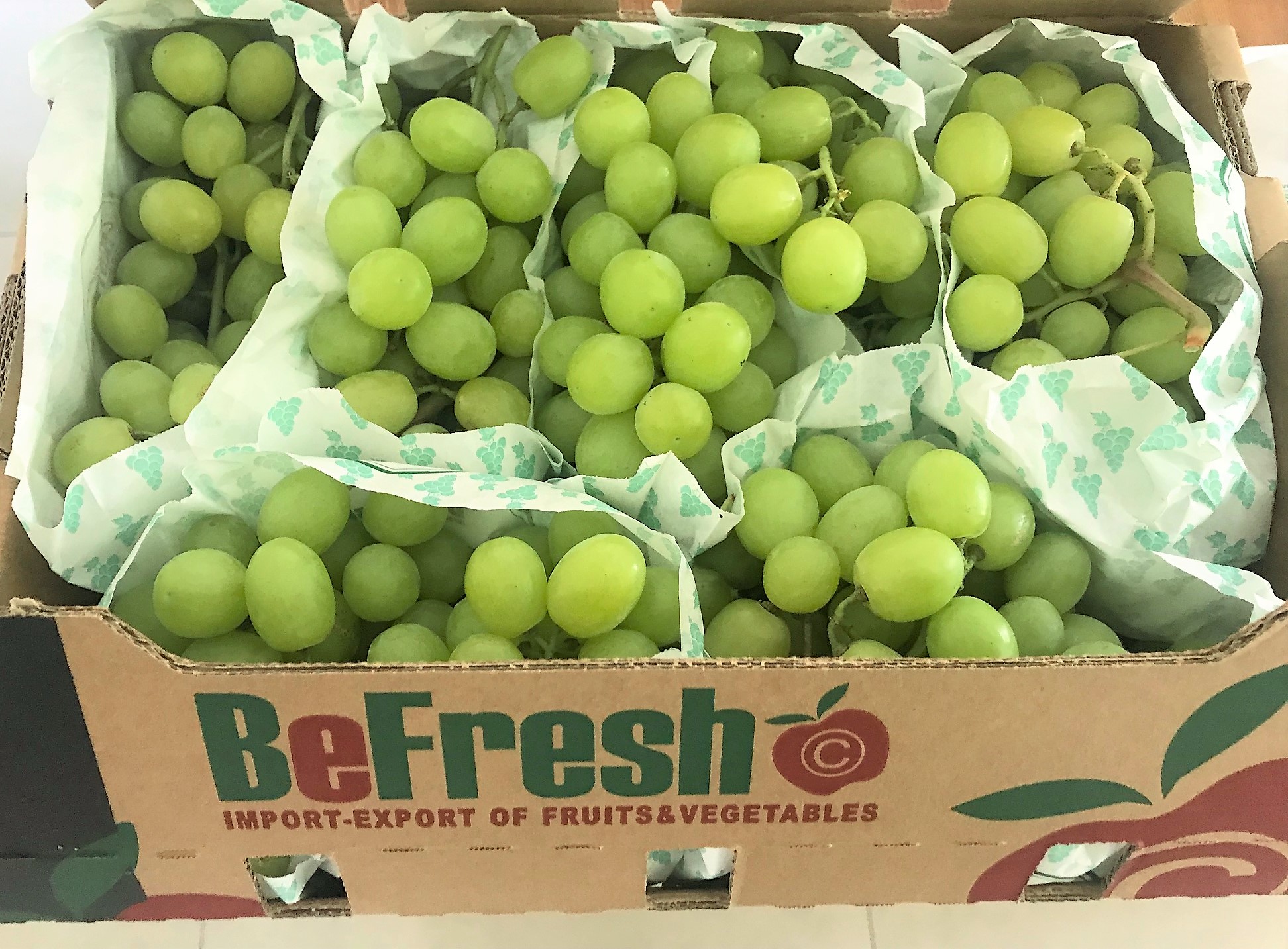 BeFresh Europe Ltd.