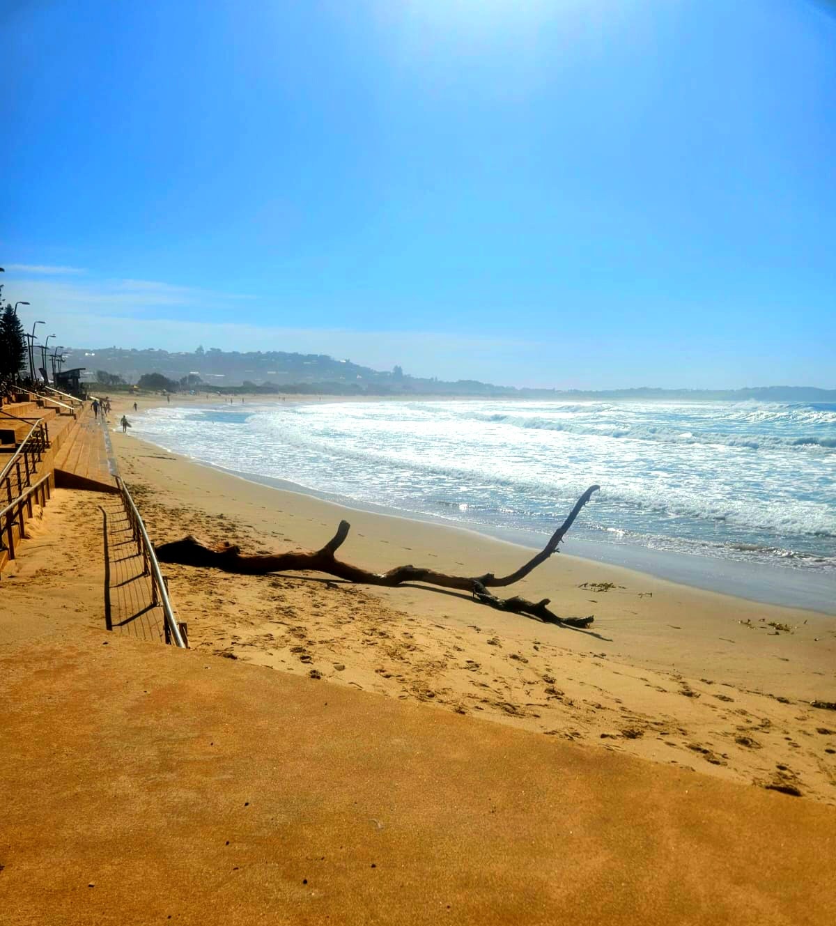 NO ONE REALLY KNOWS WHY IT'S CALLED DEE WHY… 👀 But we do know why