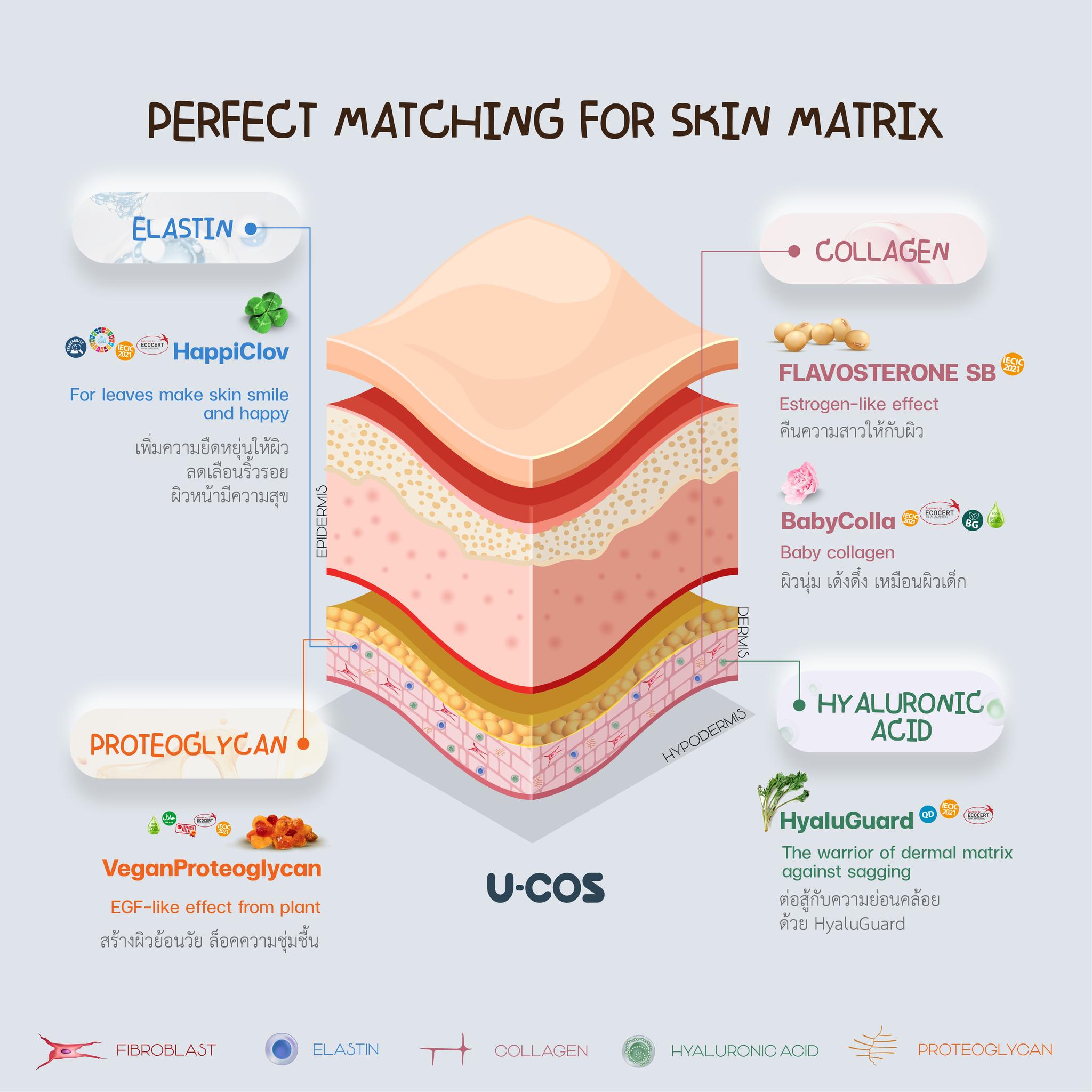 UCOS Thailand - 💪 Skin matrix ที่แข็งแรง... | Facebook