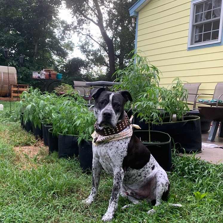 Smokey Ridge Farm