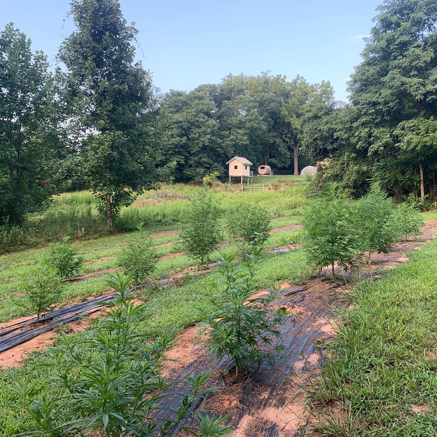 Smokey Ridge Farm