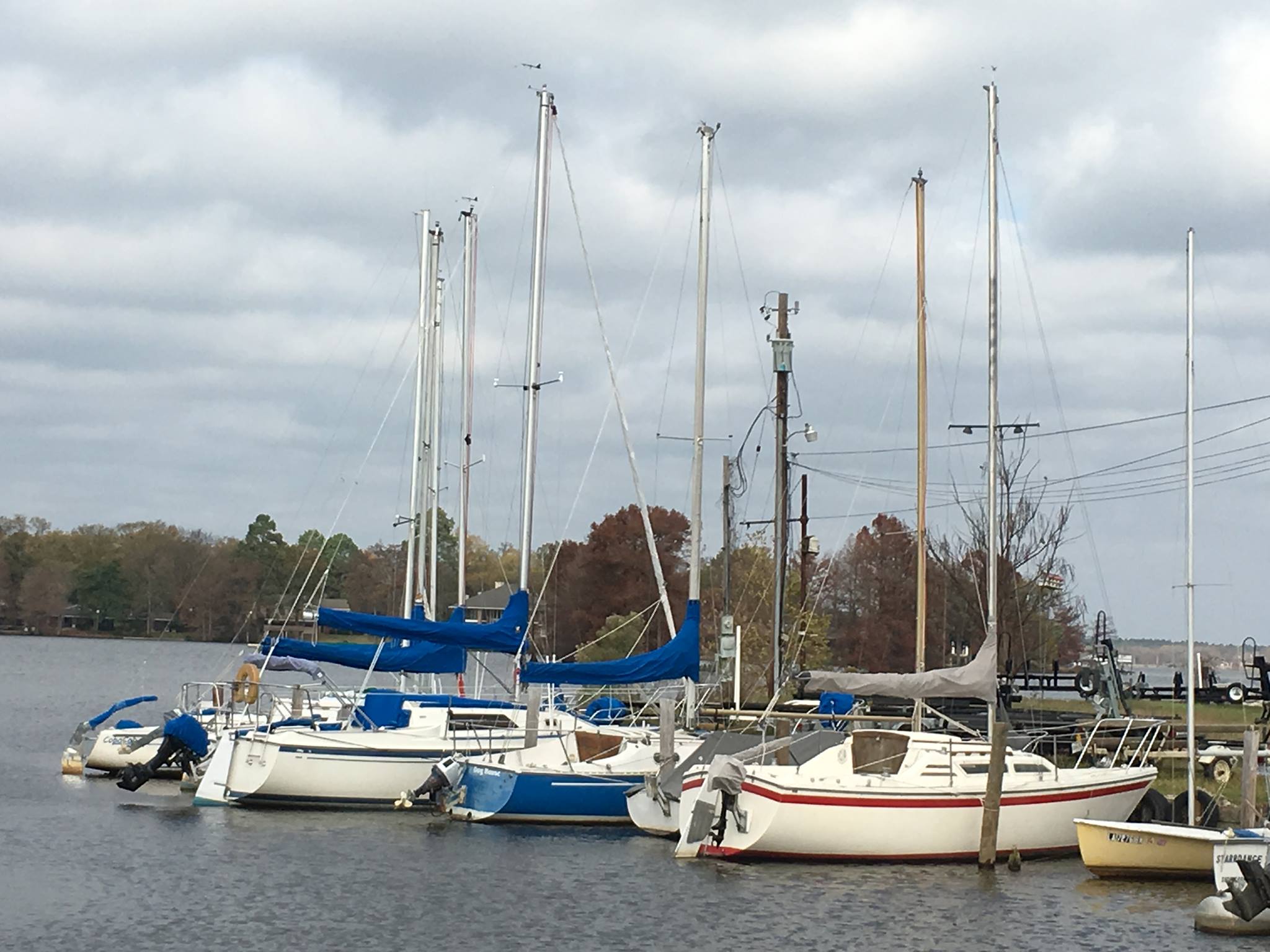 🎣 Let’s reel in some Bridge Side... - Bridge Side Marina | Facebook